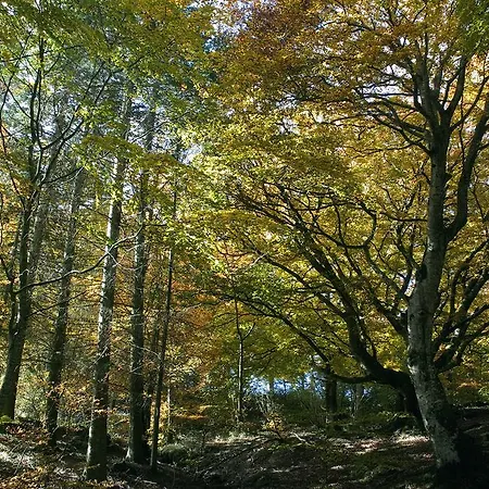 Des Douves 度假居 Sévérac-le-Château